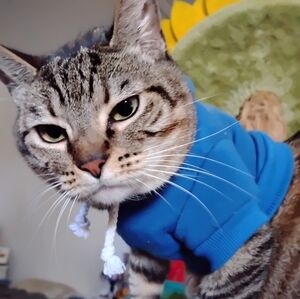 Meet your Posher, Lisa